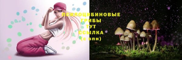 сатива Абинск