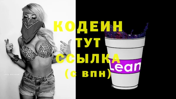 твердый Абаза