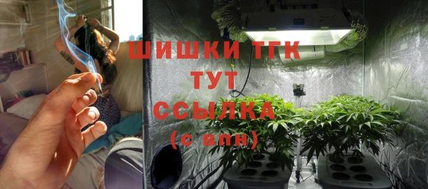 сатива Абинск