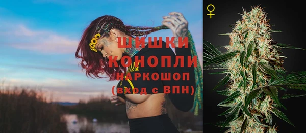 сатива Абинск